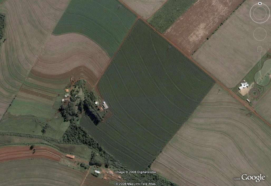 Área de plantio