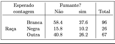 \fbox{\begin{tabular}{ll\vert cc\vert c}
\multicolumn{2}{c\vert}{Esperado} & \mu...
...a   & Negra & 15.8 & 10.2 & 26 \\
  & Outra & 40.8 & 26.2 & 67
\end{tabular}}